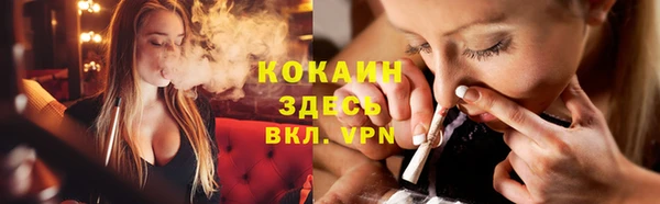 прущие грибы Армянск