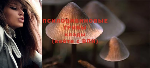 прущие грибы Армянск