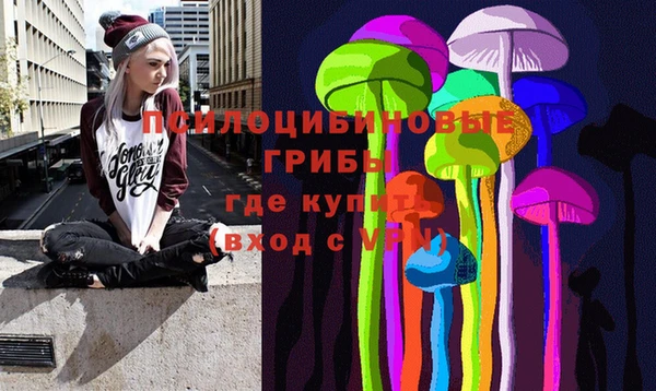 прущие грибы Армянск